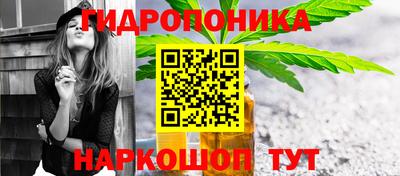 МДПВ Новокубанск
