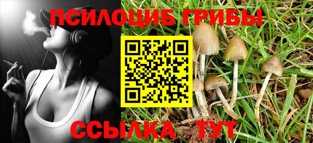 Псилоцибиновые грибы мухоморы Свободный