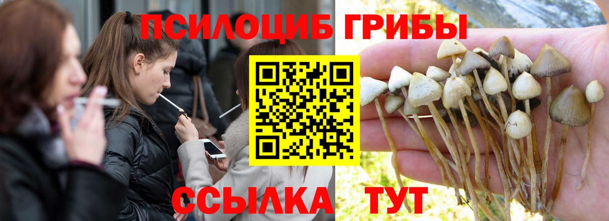 Свободный  Псилоцибиновые грибы Magic Shrooms  Вход с VPN 